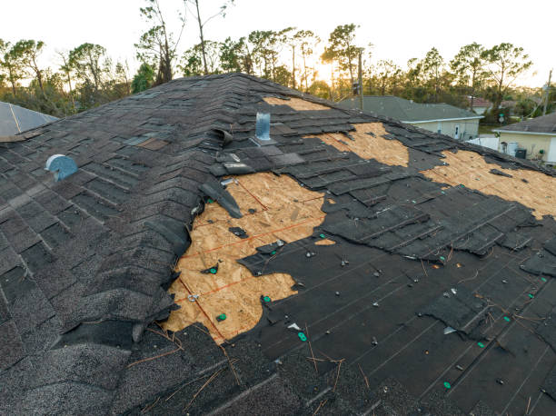 Best Roof Leak Repair  in Cannelton, IN