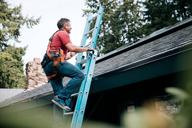 Best Gutter Installation and Repair  in Cannelton, IN