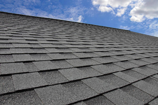 Best Roof Maintenance and Cleaning  in Cannelton, IN